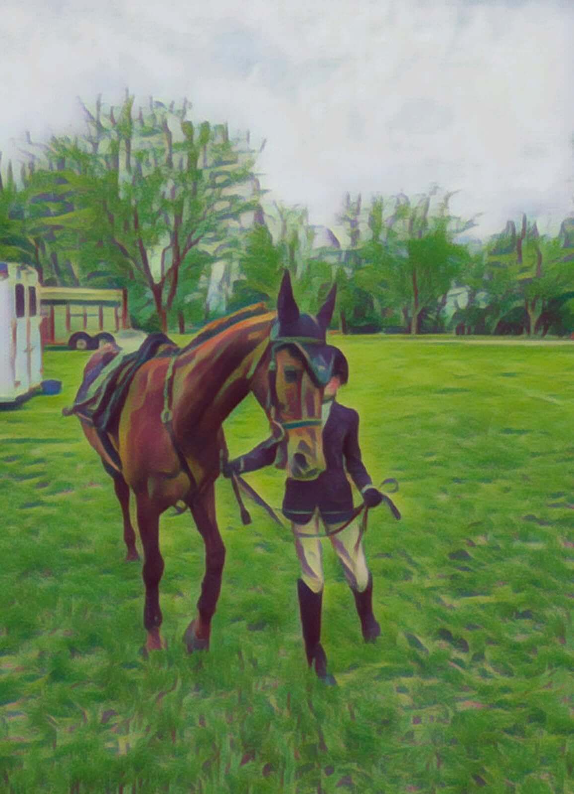 Horse for community and culture page