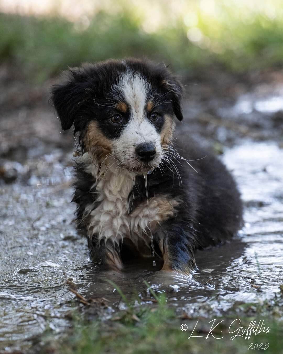 Smores Community and Culture 2